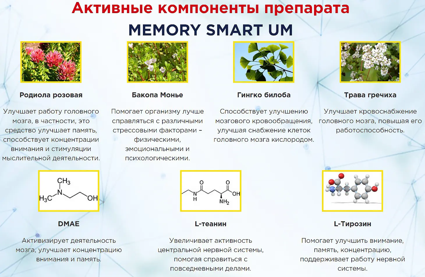 Memory Smart Um для улучшения работы мозга купить по цене 1490 ₽ в Москве  на PromPortal.Su (ID#71172035)