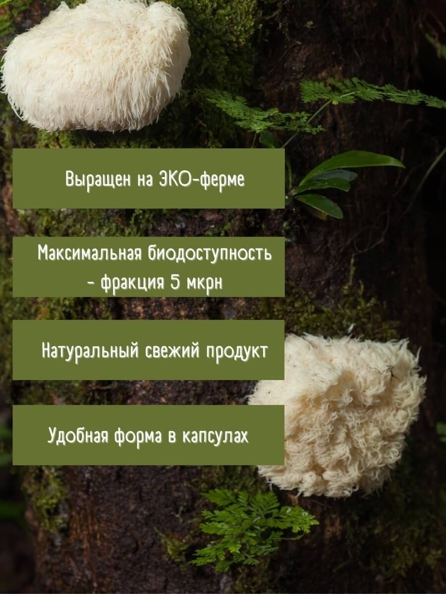 Микродозинг Ежовика Гребенчатого, в капсулах купить по цене 1147 ₽ в Москве  на PromPortal.Su (ID#71172460)