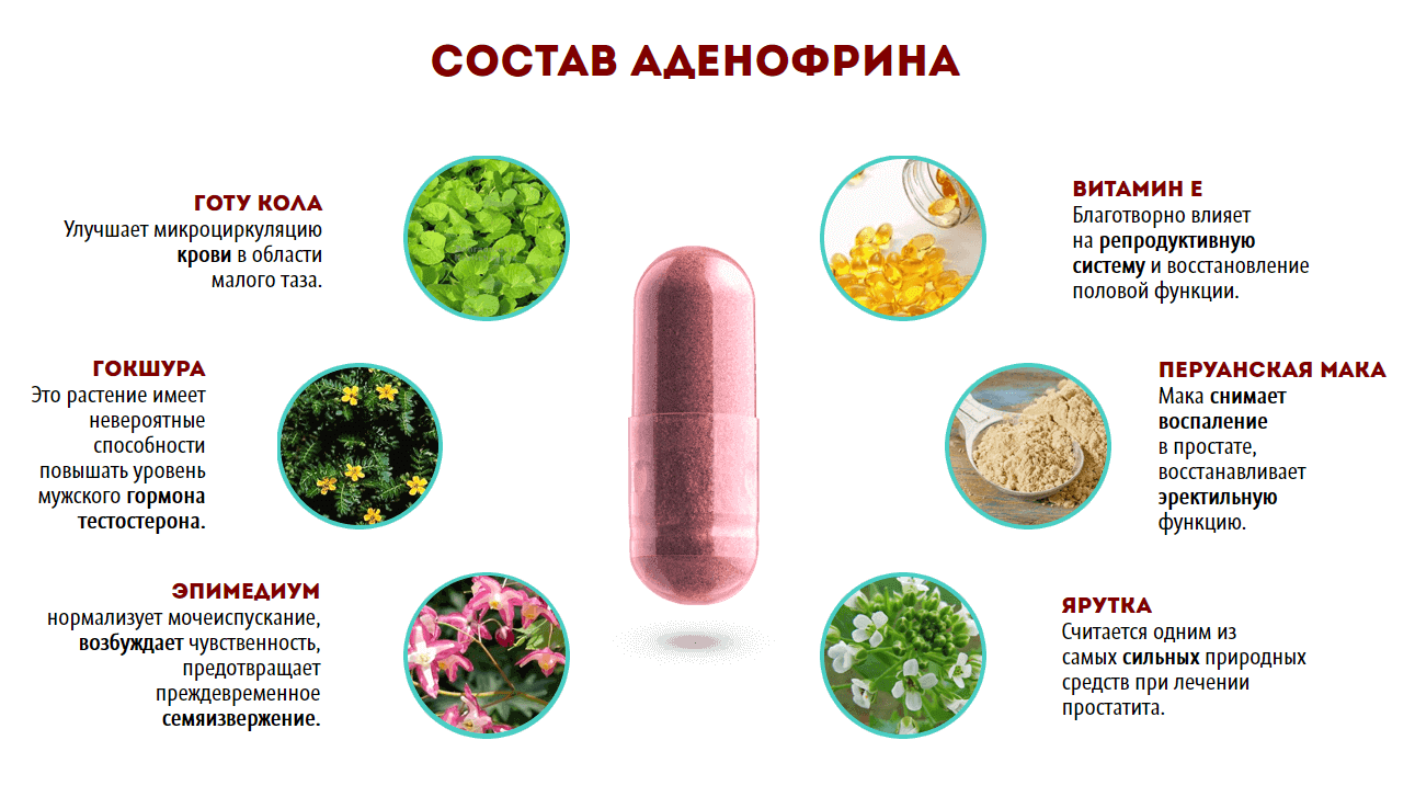 Аденофрин – состав Аденофрин – состав
