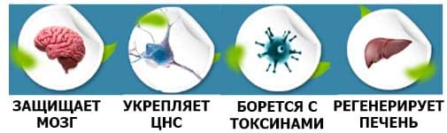 Alkostop действие