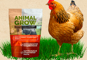 Π±ΠΈΠΎΠ΄ΠΎΠ±Π°Π²ΠΊΠ° Animal grow