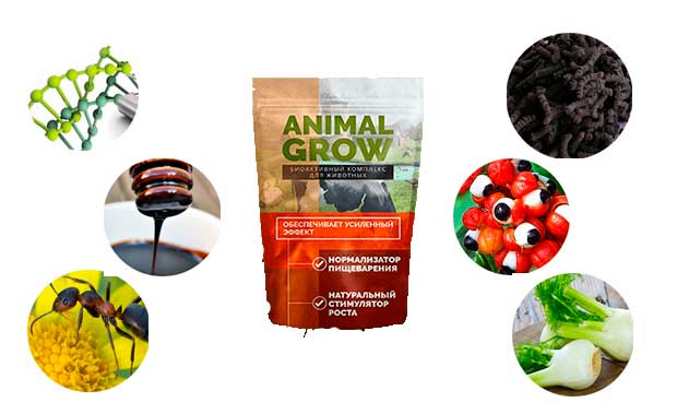 Animal grow ΡΠΎΡΡΠ°Π²
