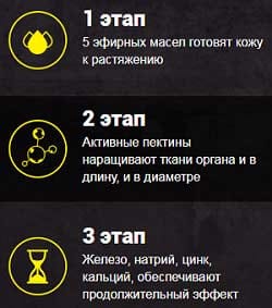 Ант Кинг свойства