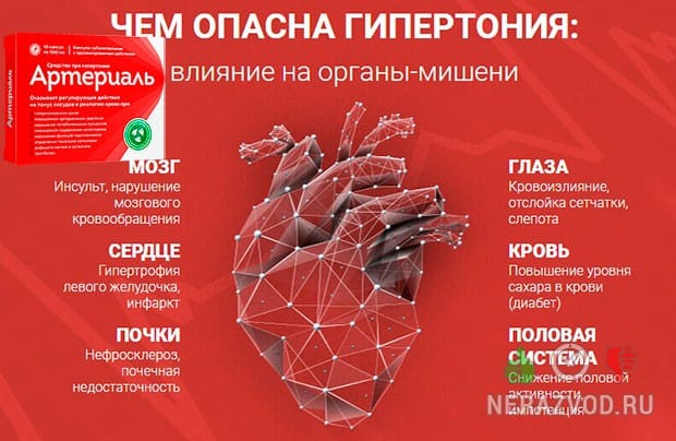 Артериаль для лечения сердечно-сосудистой системы