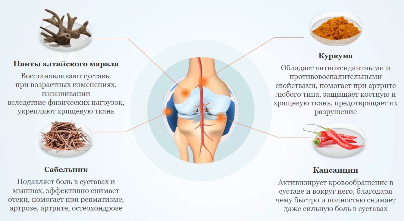 Крем Артекс Для Суставов Цена