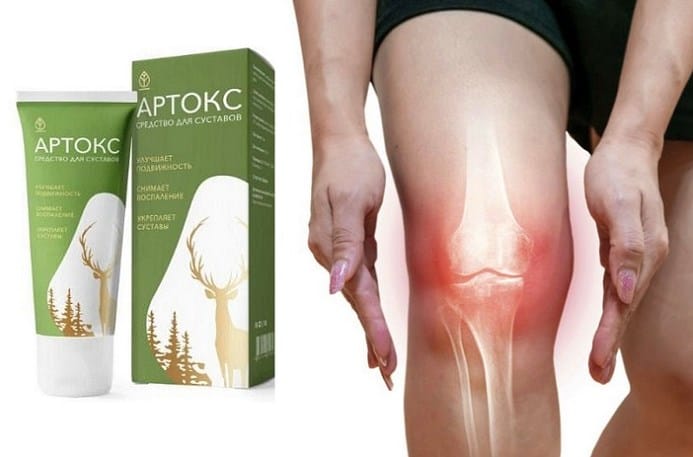 Артокс — инструкция по применению