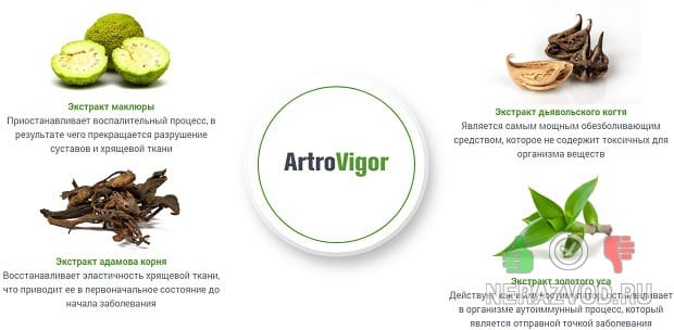 Гель для суставов ArtroVigor