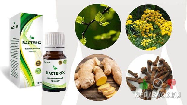 Bacterix нативный концентрат от паразитов