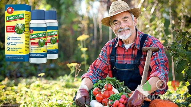 Биогард От Сорняков Отзывы Купить