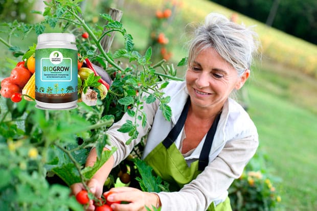 ΠΊΠ°ΠΊ ΠΏΡΠΈΠΌΠ΅Π½ΡΡΡ biogrow ΡΡΠΈΠΌΡΠ»ΡΡΠΎΡ ΡΠΎΡΡΠ° Π΄Π»Ρ ΡΠ°ΡΡΠ΅Π½ΠΈΠΉ, ΡΠ΅Π½Π° ΠΏΡΠΎΠ΄ΡΠΊΡΠ°