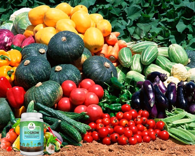 biogrow ΡΠ΄ΠΎΠ±ΡΠ΅Π½ΠΈΠ΅ ΠΎΡΠ·ΡΠ²Ρ
