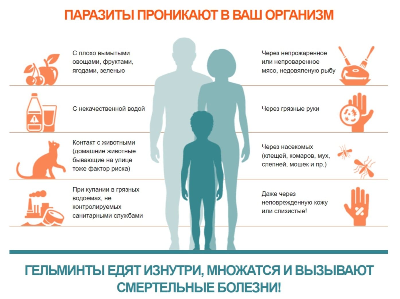 Факторы риска заражения гельминтами