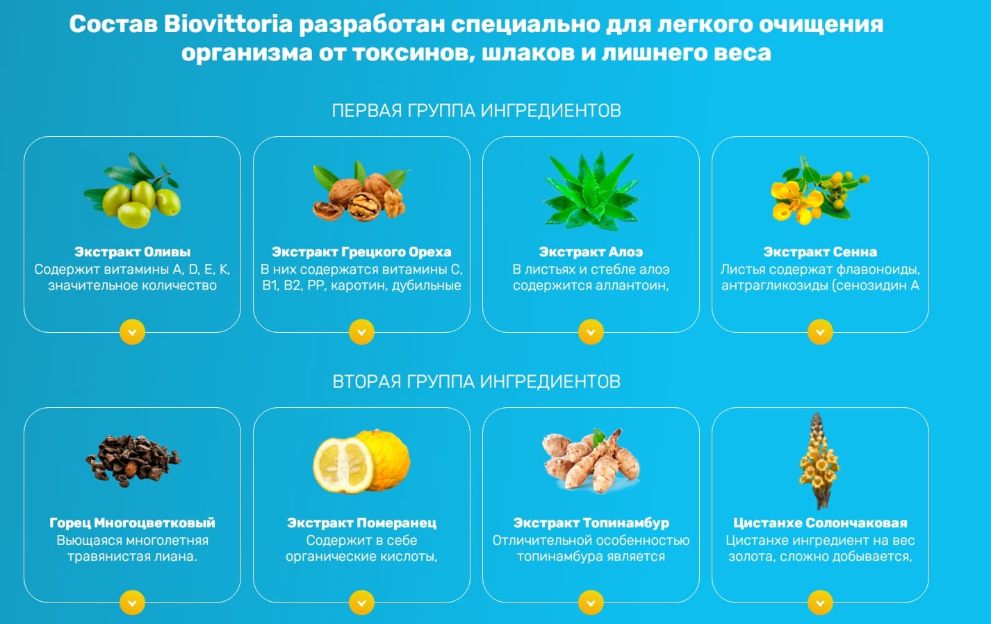 Biovittoria (БиоВитория) капсулы для похудения купить по цене 1149 ₽ в  Москве на PromPortal.Su (ID#50828854)