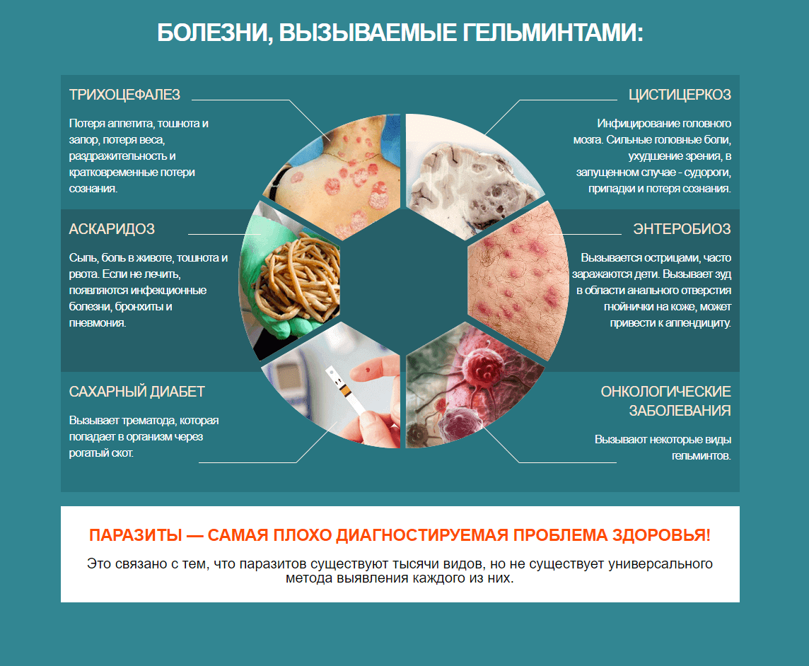Лекарство Клинистил от паразитов