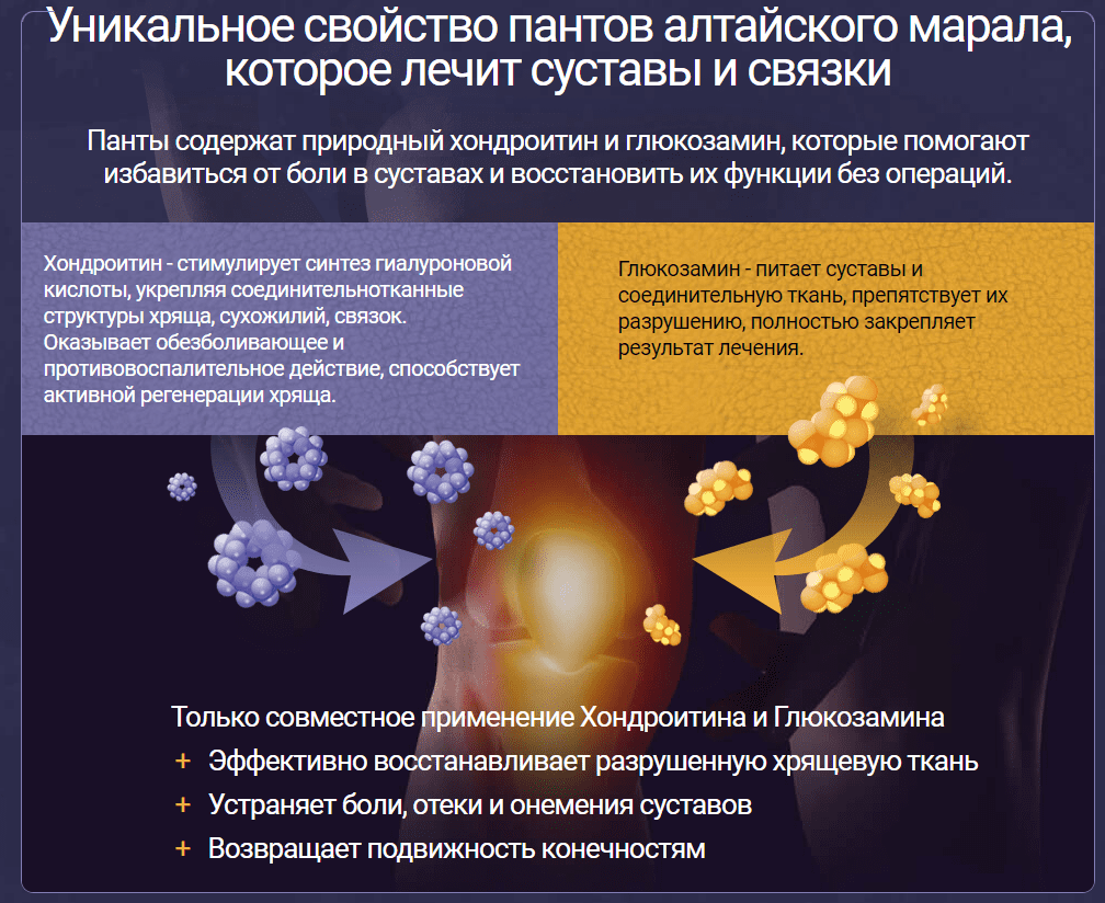 действие состава суставитина