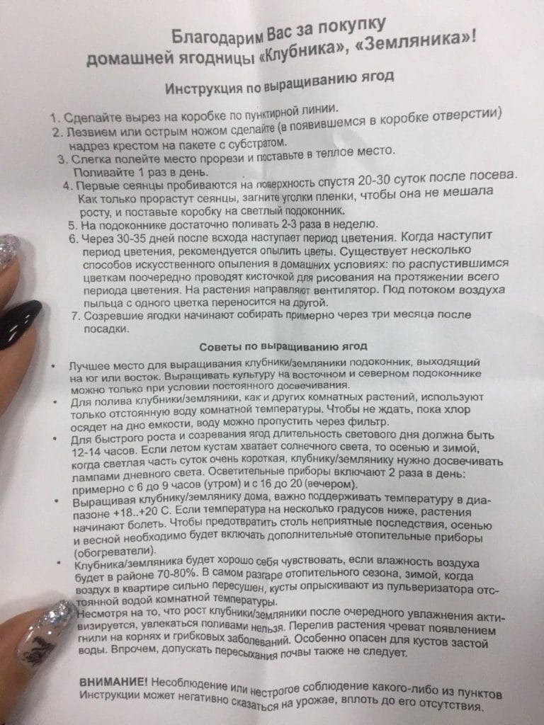 Выращиваем ягоды дома. Домашняя ягодница «Кладовая природы» купить по цене  1149 ₽ в Москве на PromPortal.Su (ID#50834454)