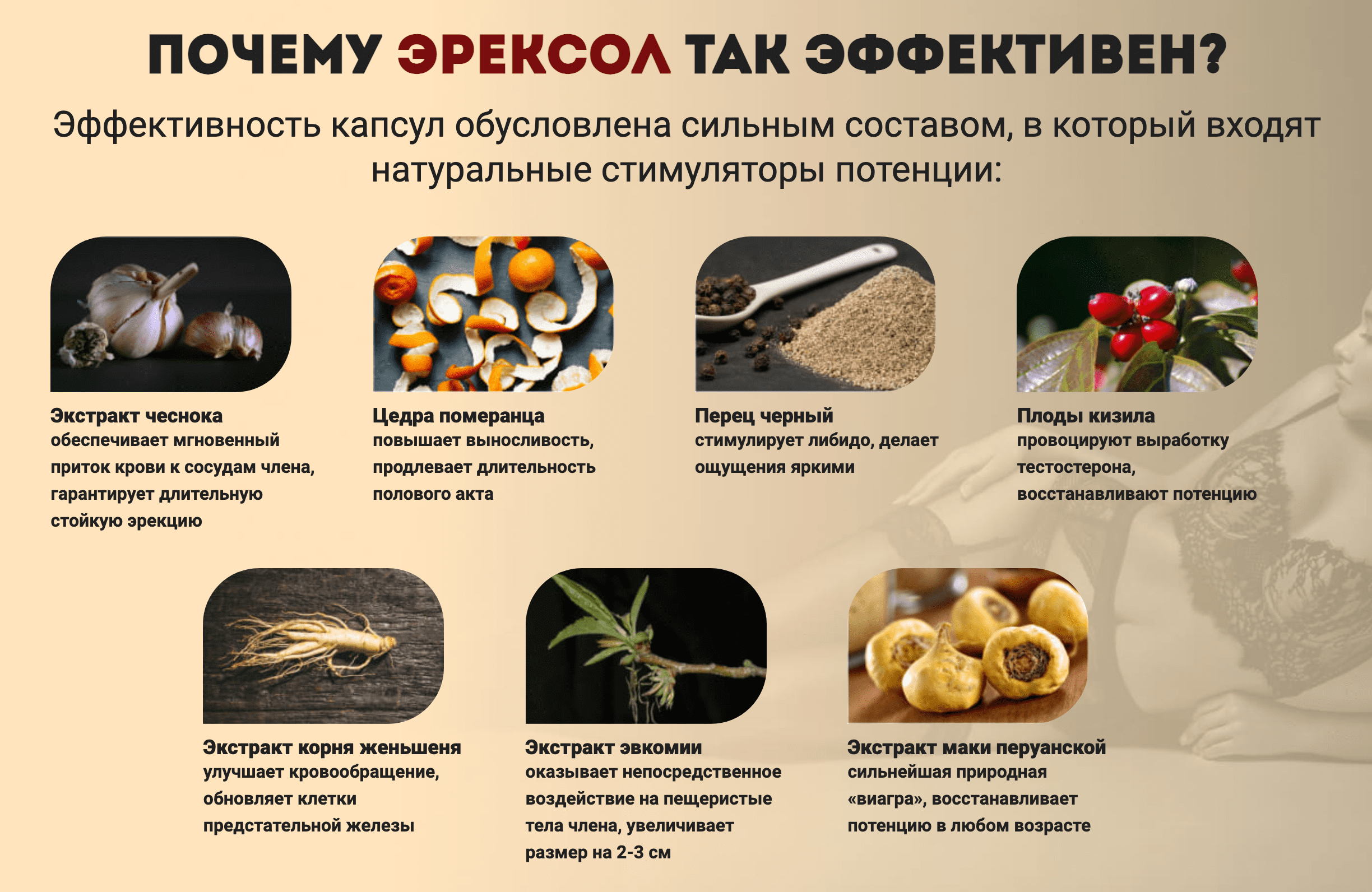 Эрексол – состав Эрексол – состав