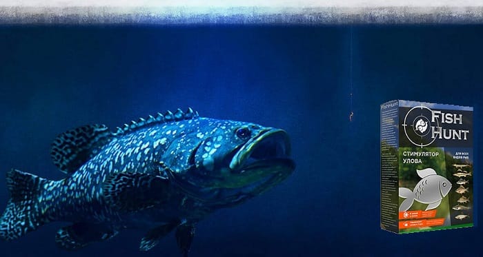 Fish Hunt активатор клева для зимней рыбалки: ловите больше, быстрее, крупнее!