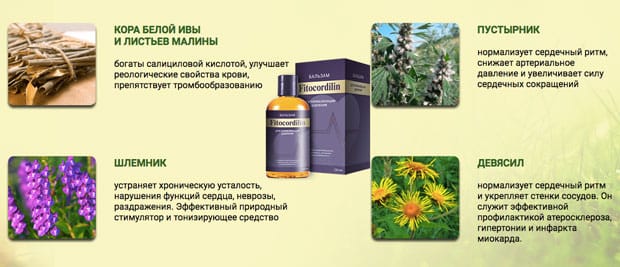 состав фитокорделин