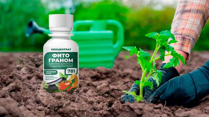 Защита растений работа. Загрязнение почвы удобрениями. Борьба с сорняками. Химическая защита растений. Опрыскивание растений.