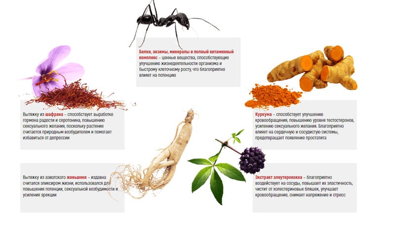 Какие продукты улучшают кровообращение. Формицитин для потенции. Витамины для повышения эрекции. Витамины для повышения либидо у мужчин. Мужские витамины для повышения либидо.