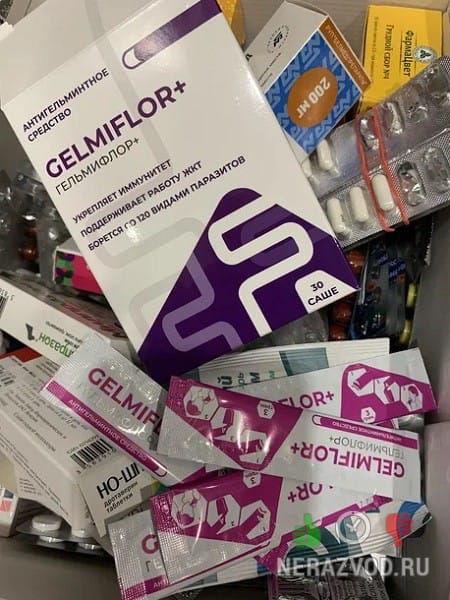 Гельминтоз