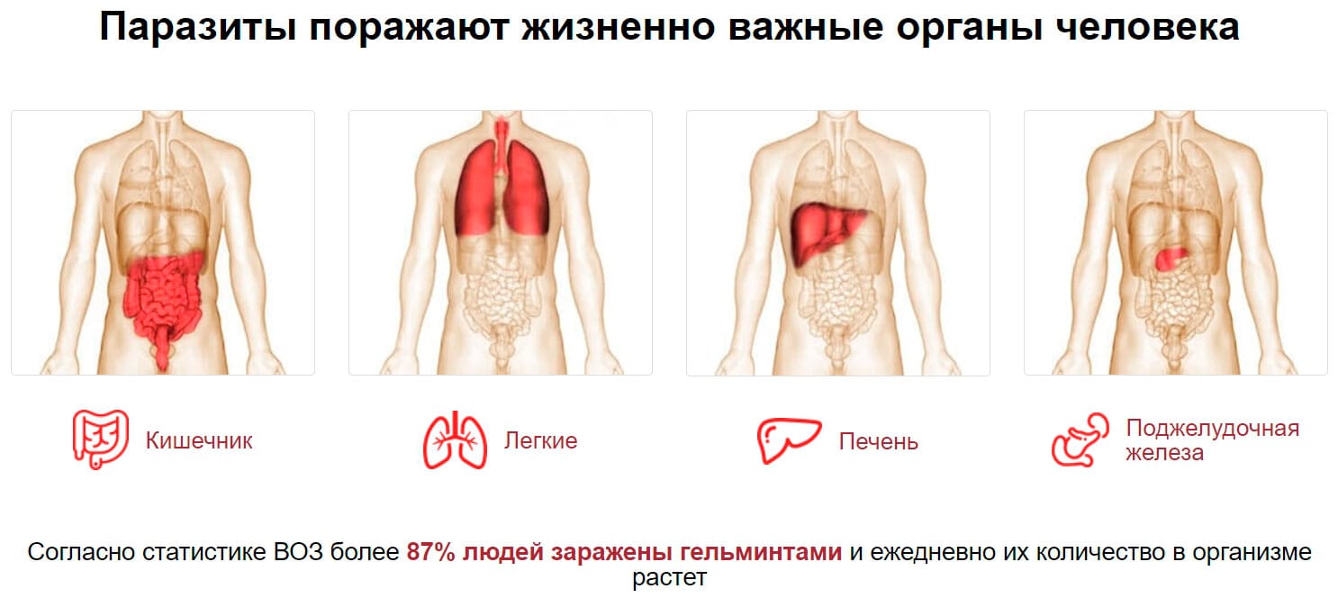 Размножение человека 36 фотографий