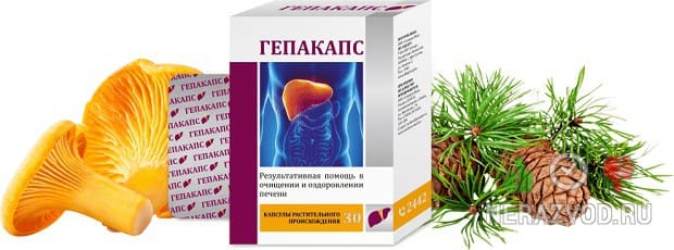 Гепакапс для защиты печени
