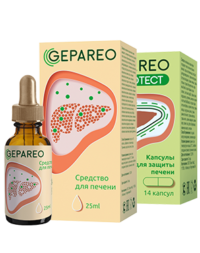 курс Gepareo