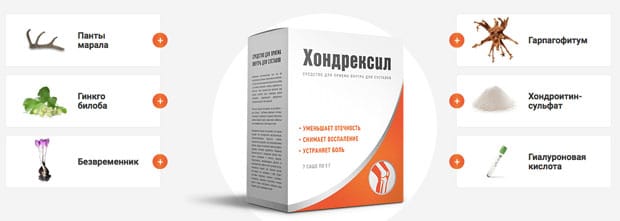 Состав Хондрексил