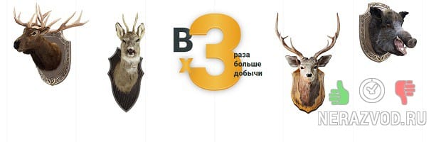 охота