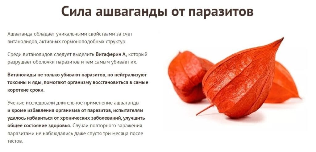 ΠΠ°ΡΠ°ΠΊΡΠ°Π½ - ΡΠΎΡΡΠ°Π² ΠΏΡΠ΅ΠΏΠ°ΡΠ°ΡΠ°