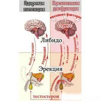 изготовлен по рецептуре корейской традиционной медицины