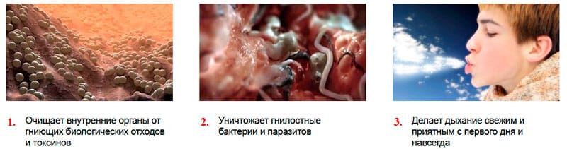 Как работает средство против паразитов