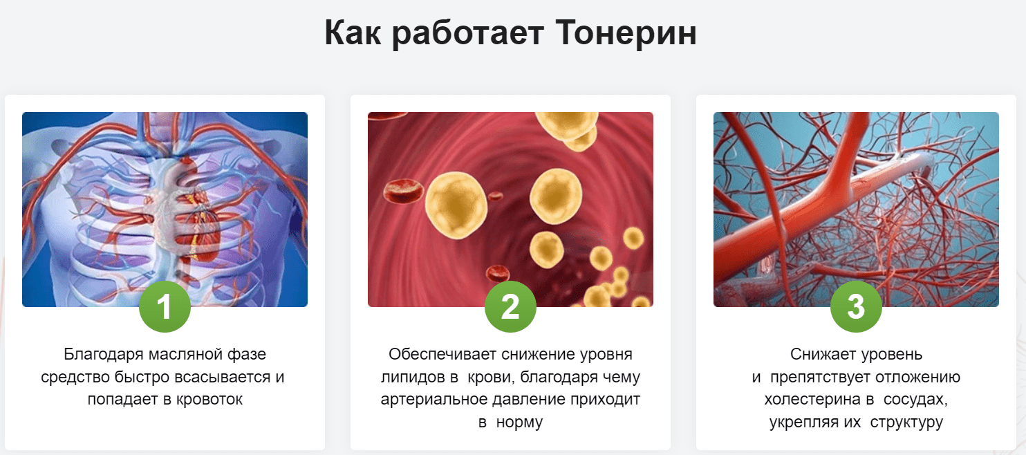 Капсулы Тонерин от давления купить по цене 1168 ₽ в Москве на PromPortal.Su  (ID#51154765)