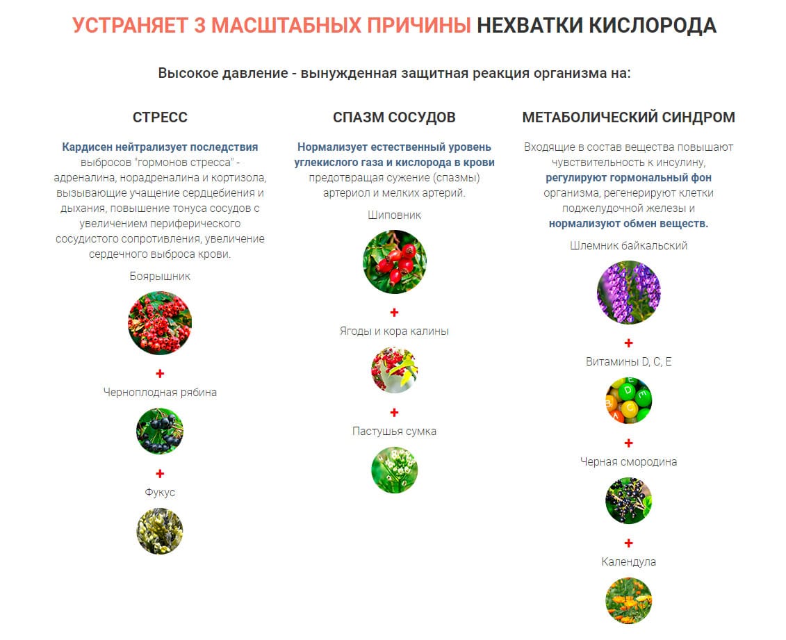 Кардисен от давления: как побороть гипертонию или новый лохотрон 2021  купить по цене 1001 ₽ в Москве на PromPortal.Su (ID#59811161)