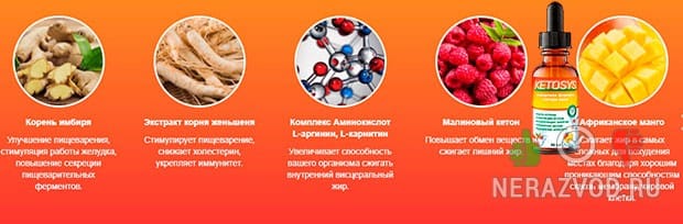 Ketosys для похудения