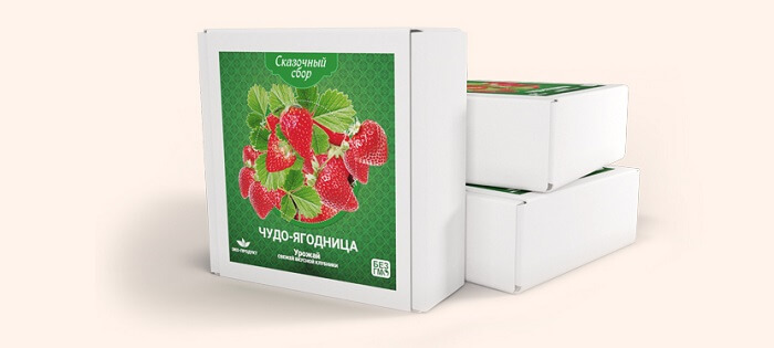 Сказочный сбор Чудо-ягодница КЛУБНИКА: богатый урожай вкусной клубники у себя дома!