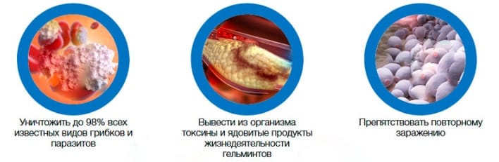 Лисички Биочистка действие