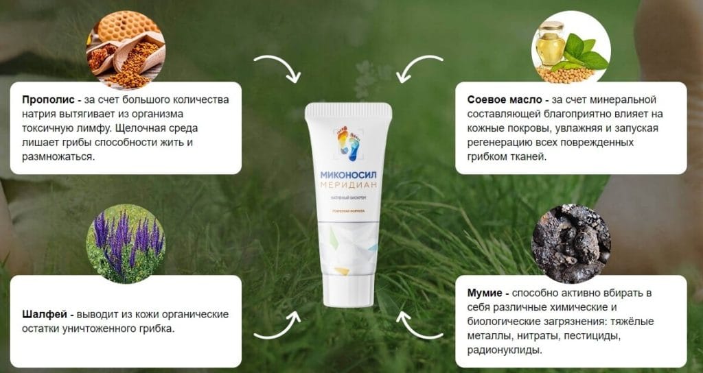 Миконосил Меридиан от грибка состав