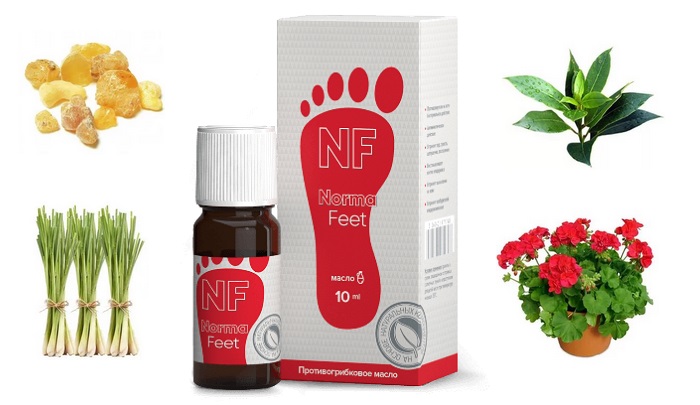 НормаФит масло от грибка ногтей и ног: устранит не только симптомы, но и причины грибковой инфекции!