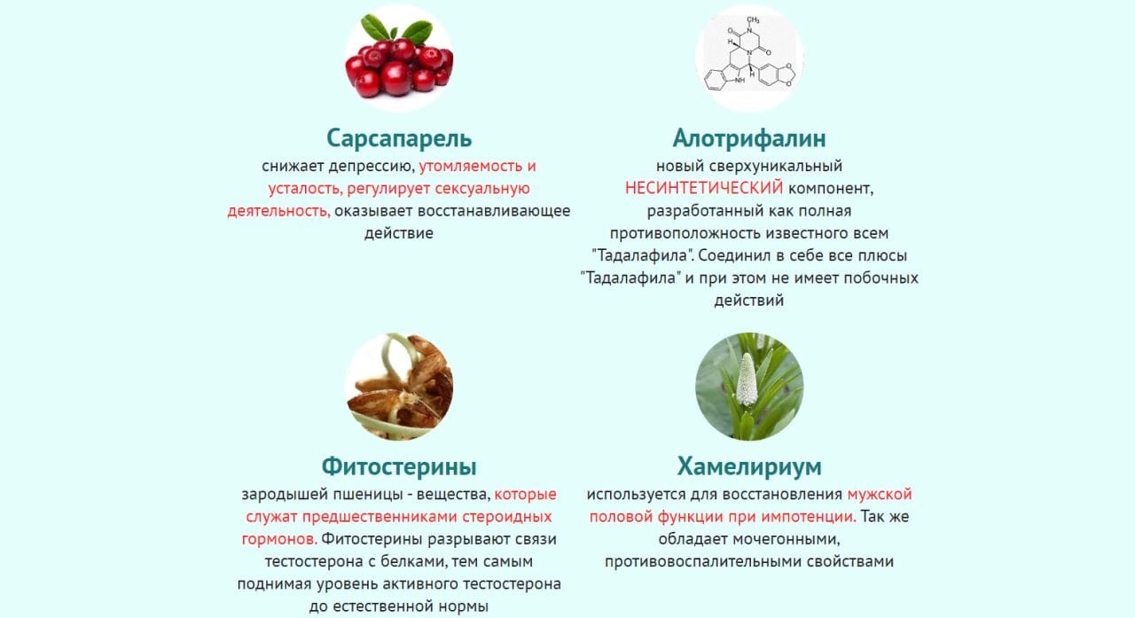 Обрети мужскую силу с Рексатал купить по цене 1099 ₽ в Москве на  PromPortal.Su (ID#50773301)