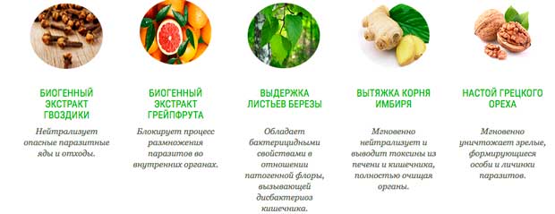 состав средства Parazifort