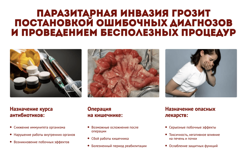 Последствия паразитарной инвазии Последствия паразитарной инвазии