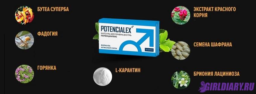 Перечень компонентов препарата Potencialex