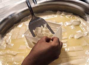 Приготовление домашнего сыра