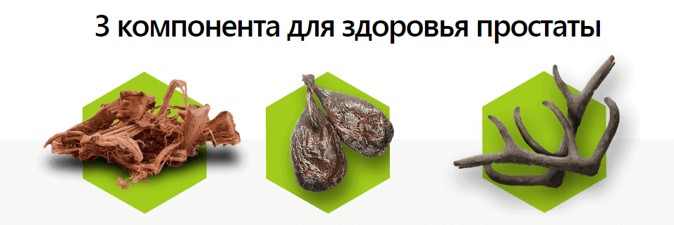 чемерица лобеля сырье. аэропоника корни. чемерица лобеля корневища с корнями. предотвращена корень. корень марены красильной.