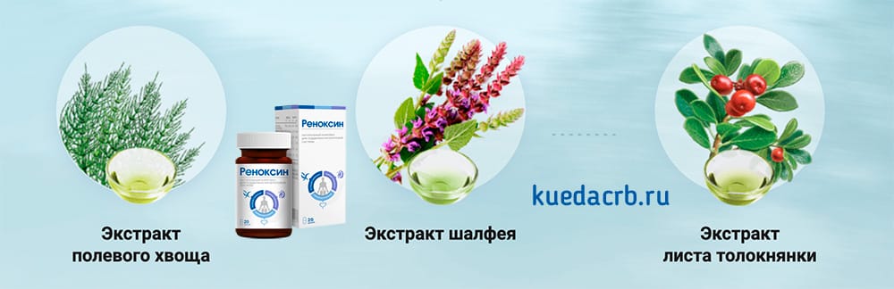 Состав Реноксин