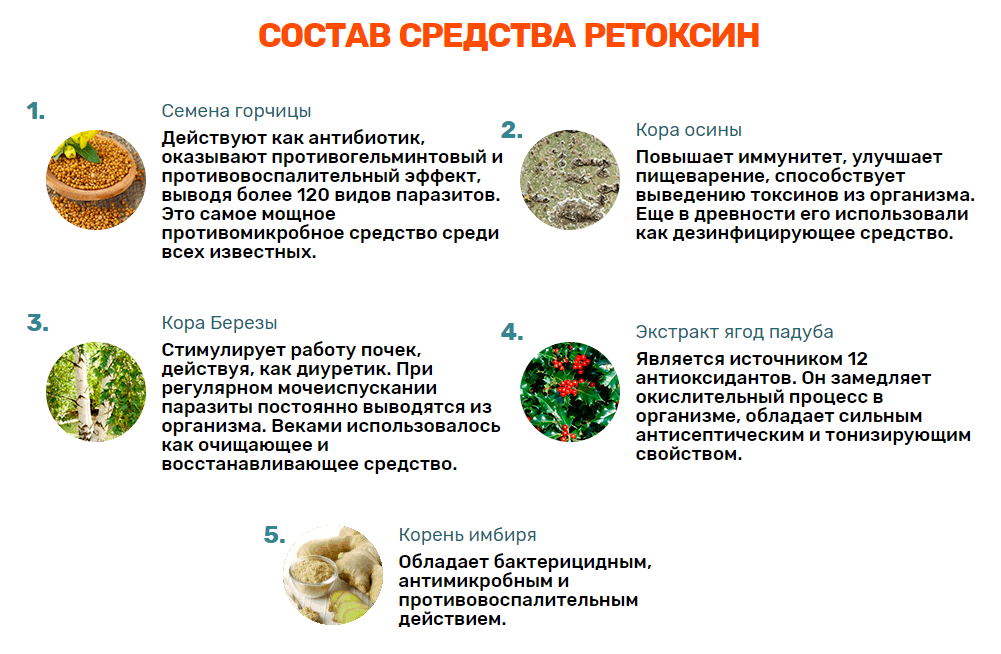 ретоксин от глист. народные средства от паразитов. народный метод от избавления паразитов. энтеробиоз семена тыквы от гельминтов. средство от паразитов в организме.