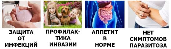 Ретоксин действие